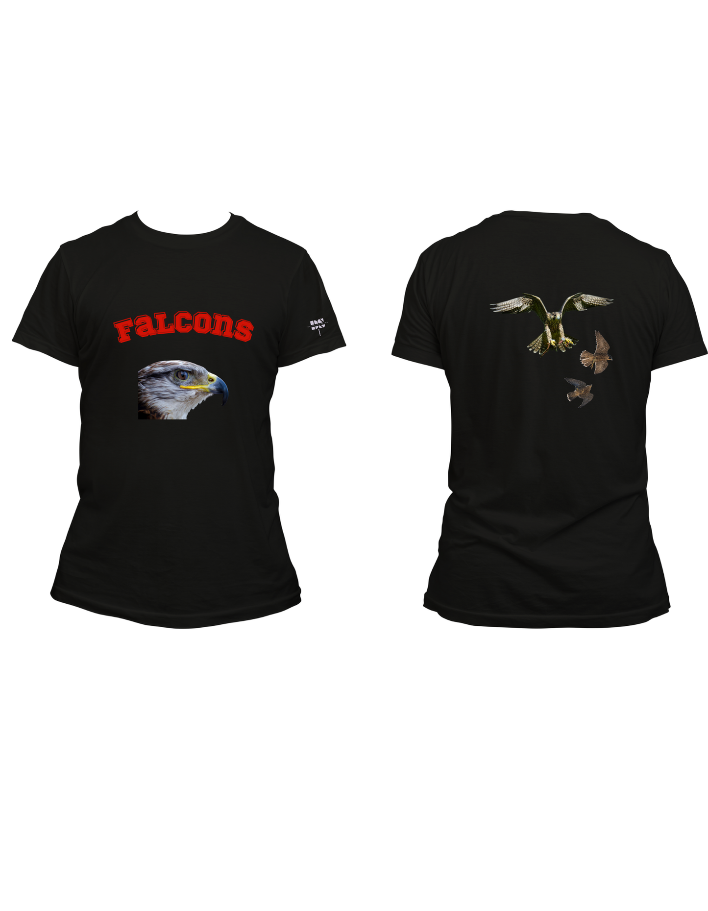 Desan Lux Brand Falcons Womens T-Shirt